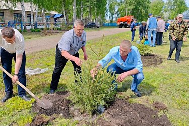 Каждое дерево – символ благодарности героям 